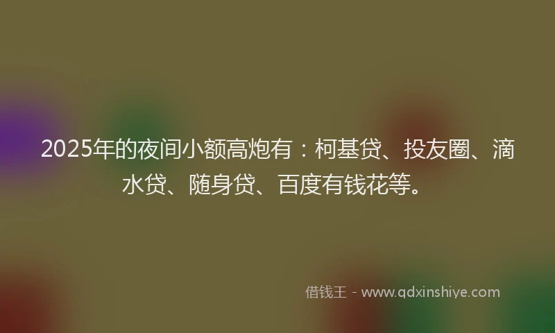2025年的夜间小额高炮有：柯基贷、投友圈、滴水贷、随身贷、百度有钱花等。