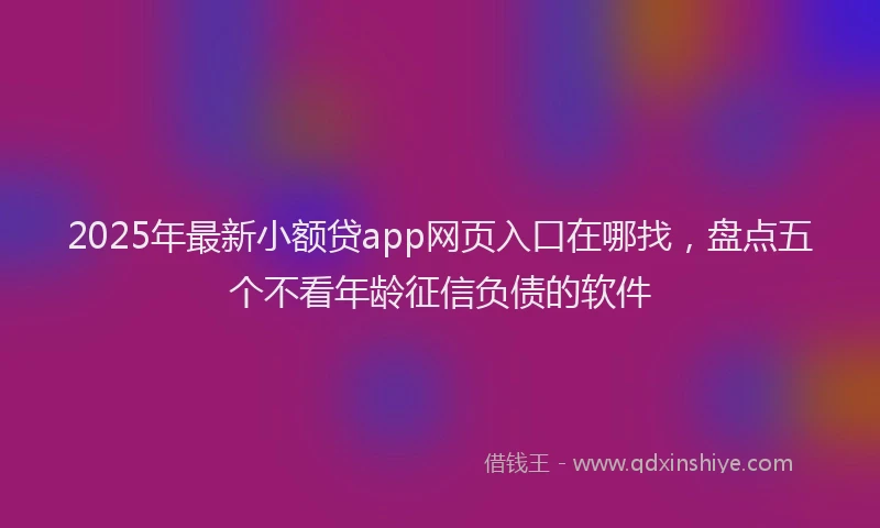 2025年最新小额贷app网页入口在哪找，盘点五个不看年龄征信负债的软件