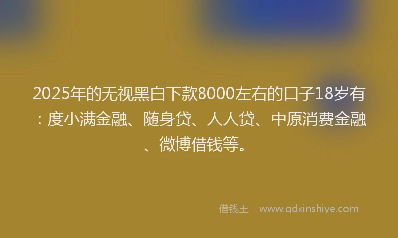 2025年的无视黑白下款8000左右的口子18岁有：度小满金融、随身贷、人人贷、中原消费金融、微博借钱等。