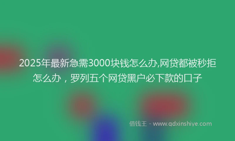 2025年最新急需3000块钱怎么办,网贷都被秒拒怎么办，罗列五个网贷黑户必下款的口子