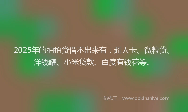 2025年的拍拍贷借不出来有：超人卡、微粒贷、洋钱罐、小米贷款、百度有钱花等。