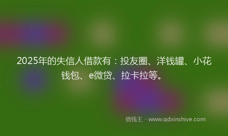 2025年的失信人借款有：投友圈、洋钱罐、小花钱包、e微贷、拉卡拉等。