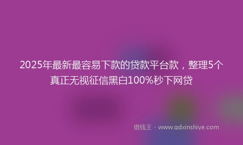 2025年最新最容易下款的贷款平台款，整理5个真正无视征信黑白100%秒下网贷