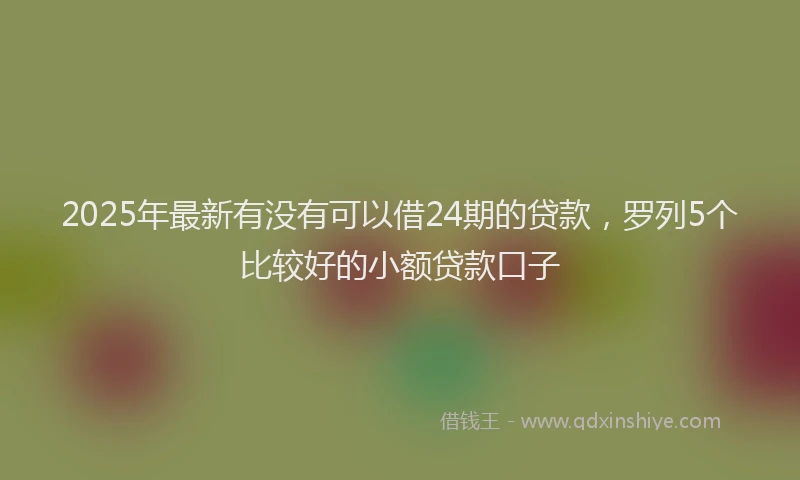 2025年最新有没有可以借24期的贷款，罗列5个比较好的小额贷款口子