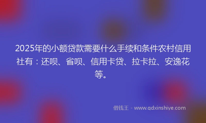 2025年的小额贷款需要什么手续和条件农村信用社有：还呗、省呗、信用卡贷、拉卡拉、安逸花等。
