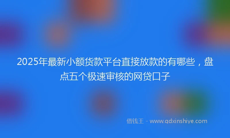 2025年最新小额货款平台直接放款的有哪些，盘点五个极速审核的网贷口子