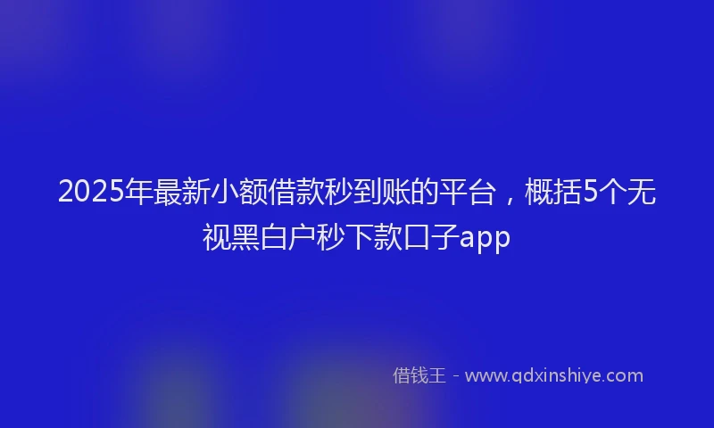2025年最新小额借款秒到账的平台，概括5个无视黑白户秒下款口子app