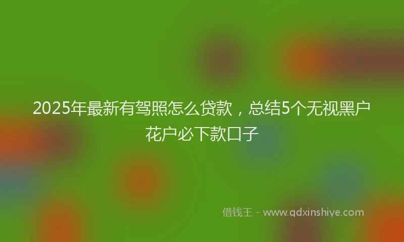 2025年最新有驾照怎么贷款，总结5个无视黑户花户必下款口子