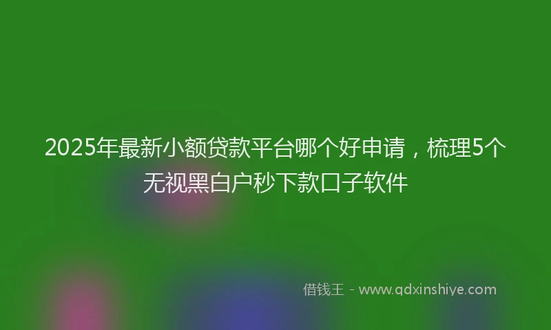 2025年最新小额贷款平台哪个好申请，梳理5个无视黑白户秒下款口子软件