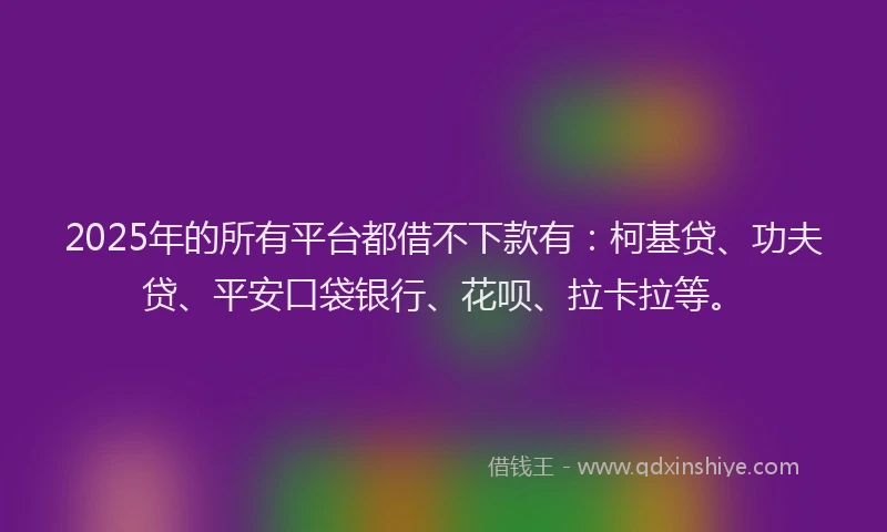 2025年的所有平台都借不下款有：柯基贷、功夫贷、平安口袋银行、花呗、拉卡拉等。