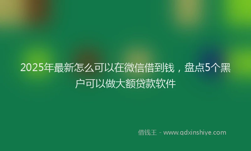 2025年最新怎么可以在微信借到钱，盘点5个黑户可以做大额贷款软件