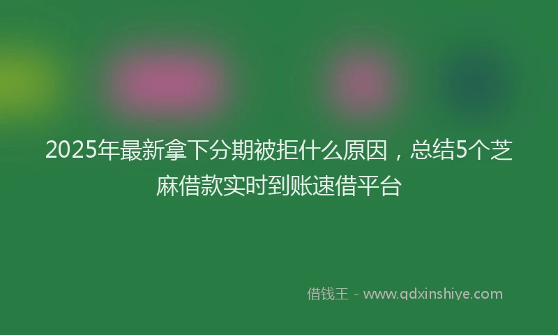 2025年最新拿下分期被拒什么原因，总结5个芝麻借款实时到账速借平台