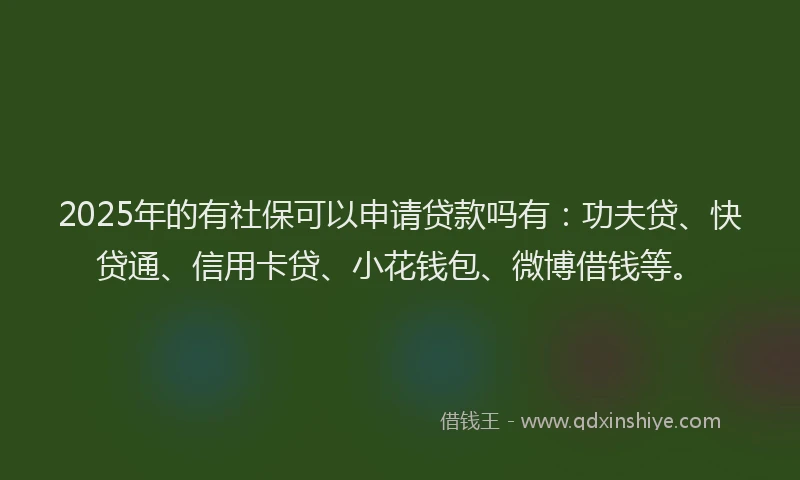 2025年的有社保可以申请贷款吗有：功夫贷、快贷通、信用卡贷、小花钱包、微博借钱等。