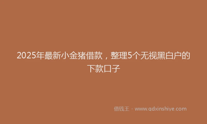 2025年最新小金猪借款，整理5个无视黑白户的下款口子