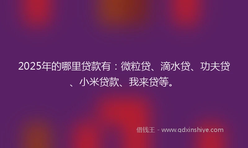 2025年的哪里贷款有：微粒贷、滴水贷、功夫贷、小米贷款、我来贷等。