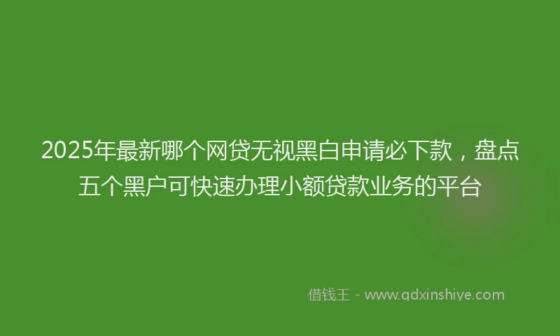 2025年最新哪个网贷无视黑白申请必下款，盘点五个黑户可快速办理小额贷款业务的平台
