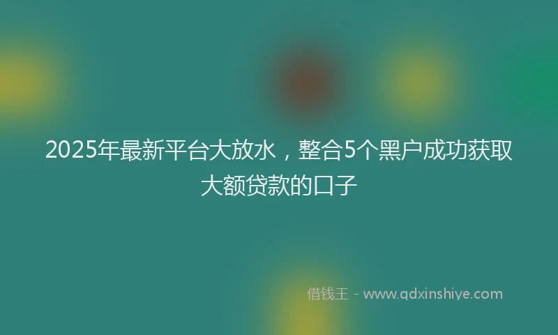 2025年最新平台大放水，整合5个黑户成功获取大额贷款的口子
