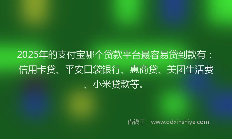 2025年的支付宝哪个贷款平台最容易贷到款有：信用卡贷、平安口袋银行、惠商贷、美团生活费、小米贷款等。
