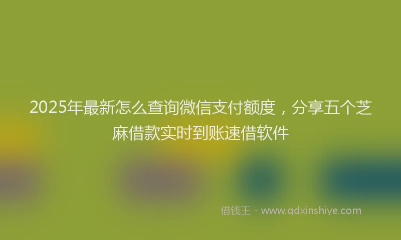 2025年最新怎么查询微信支付额度，分享五个芝麻借款实时到账速借软件