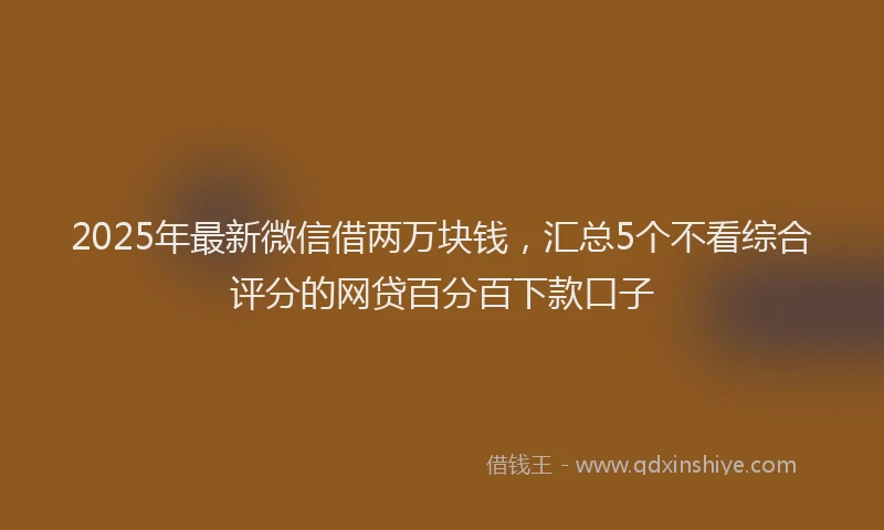 2025年最新微信借两万块钱，汇总5个不看综合评分的网贷百分百下款口子
