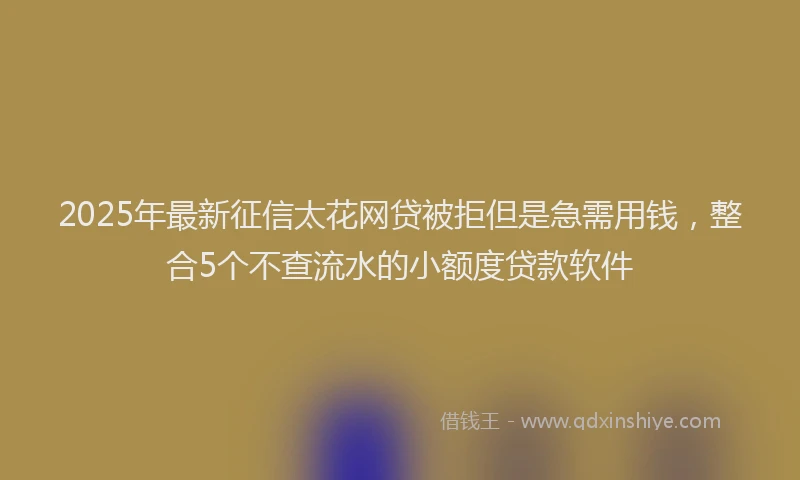 2025年最新征信太花网贷被拒但是急需用钱，整合5个不查流水的小额度贷款软件