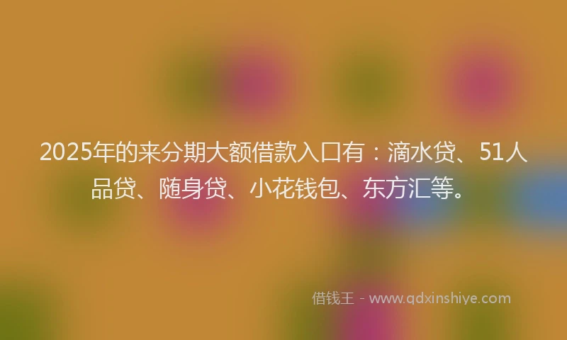 2025年的来分期大额借款入口有：滴水贷、51人品贷、随身贷、小花钱包、东方汇等。