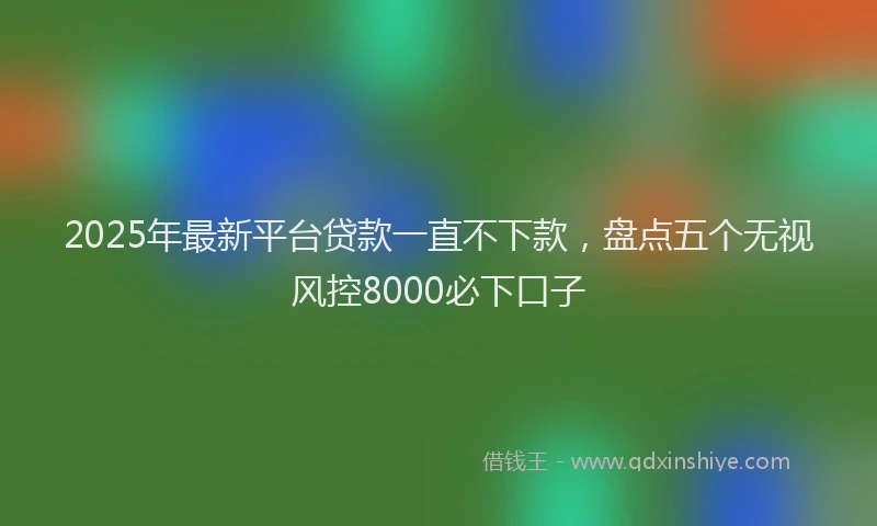 2025年最新平台贷款一直不下款，盘点五个无视风控8000必下口子