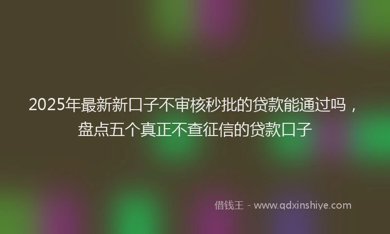 2025年最新新口子不审核秒批的贷款能通过吗，盘点五个真正不查征信的贷款口子