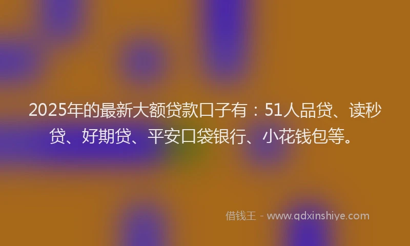 2025年的最新大额贷款口子有：51人品贷、读秒贷、好期贷、平安口袋银行、小花钱包等。