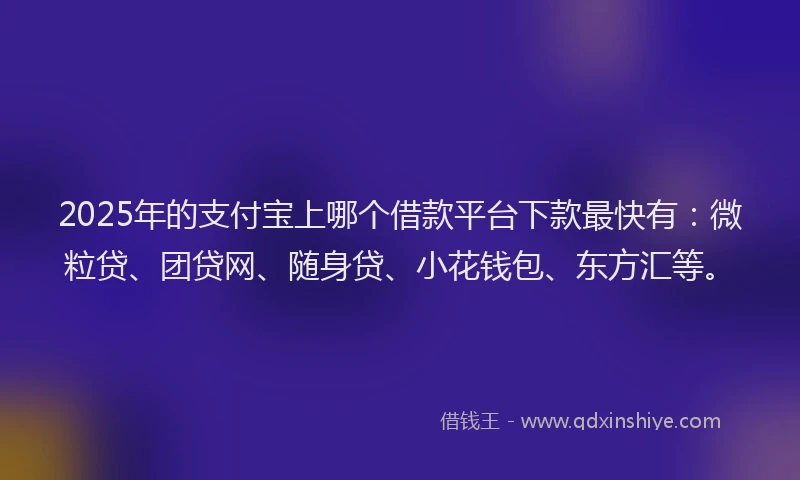 2025年的支付宝上哪个借款平台下款最快有：微粒贷、团贷网、随身贷、小花钱包、东方汇等。