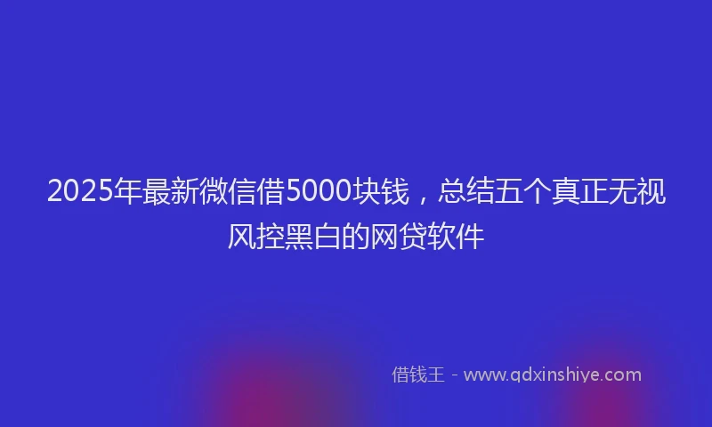 2025年最新微信借5000块钱，总结五个真正无视风控黑白的网贷软件