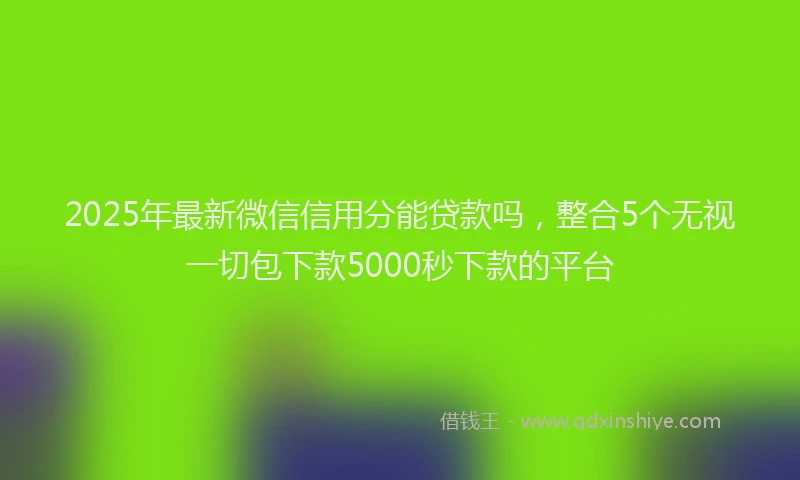 2025年最新微信信用分能贷款吗，整合5个无视一切包下款5000秒下款的平台