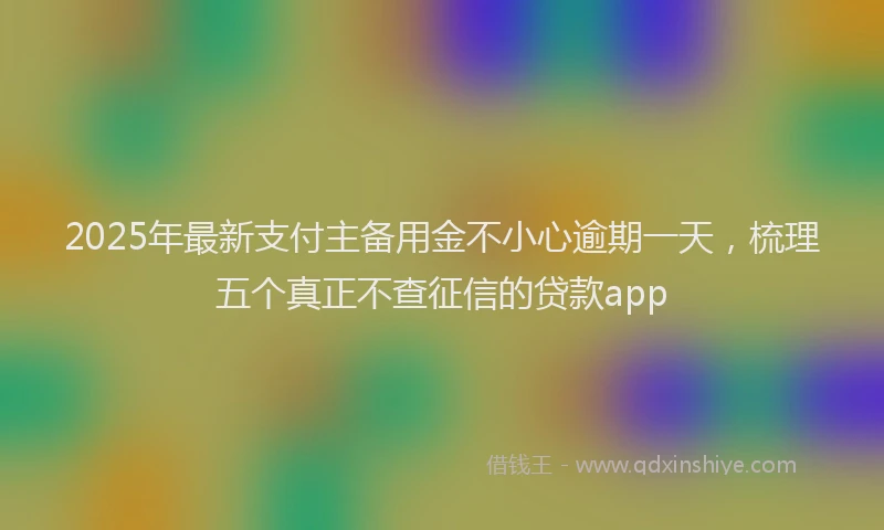 2025年最新支付主备用金不小心逾期一天，梳理五个真正不查征信的贷款app