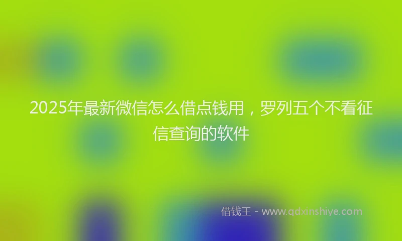 2025年最新微信怎么借点钱用，罗列五个不看征信查询的软件