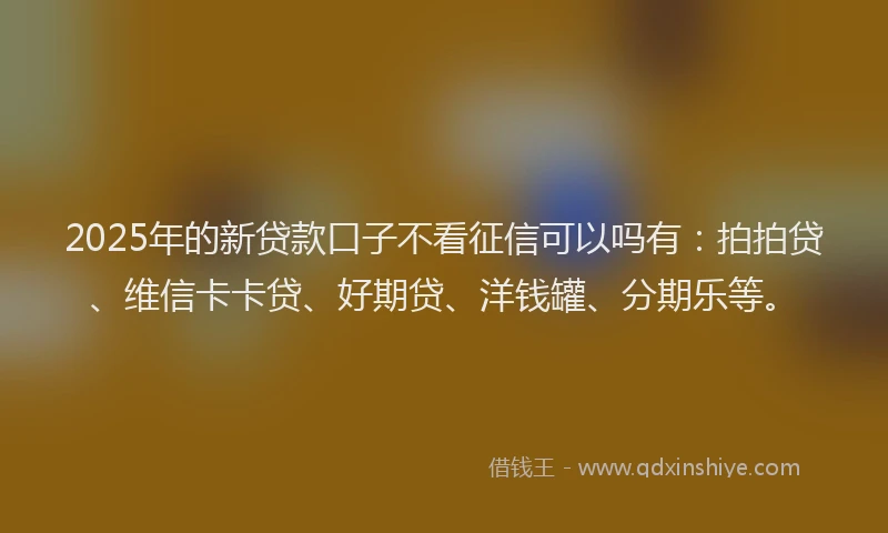 2025年的新贷款口子不看征信可以吗有：拍拍贷、维信卡卡贷、好期贷、洋钱罐、分期乐等。