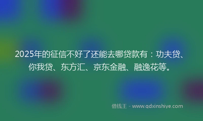 2025年的征信不好了还能去哪贷款有：功夫贷、你我贷、东方汇、京东金融、融逸花等。