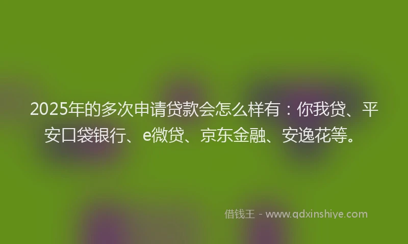 2025年的多次申请贷款会怎么样有：你我贷、平安口袋银行、e微贷、京东金融、安逸花等。