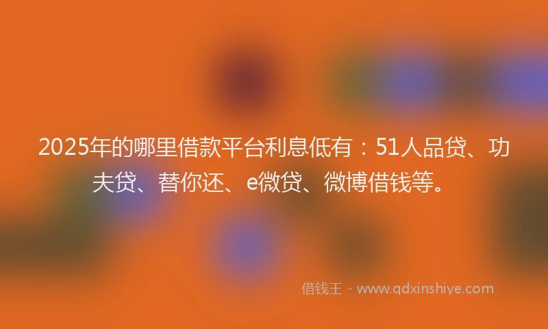 2025年的哪里借款平台利息低有：51人品贷、功夫贷、替你还、e微贷、微博借钱等。