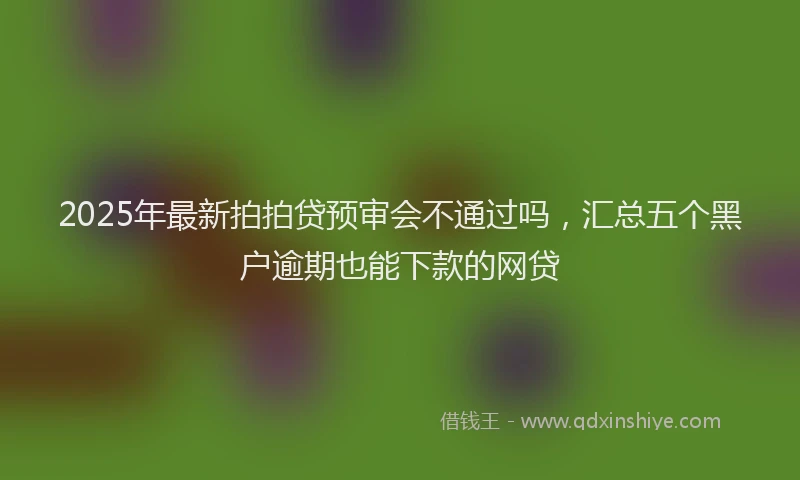 2025年最新拍拍贷预审会不通过吗，汇总五个黑户逾期也能下款的网贷