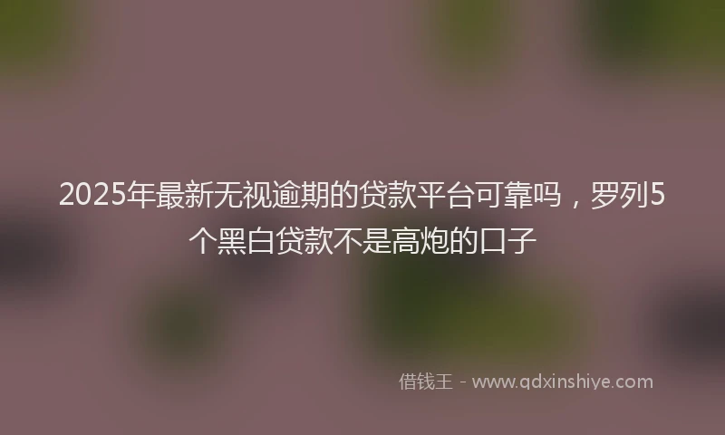 2025年最新无视逾期的贷款平台可靠吗，罗列5个黑白贷款不是高炮的口子