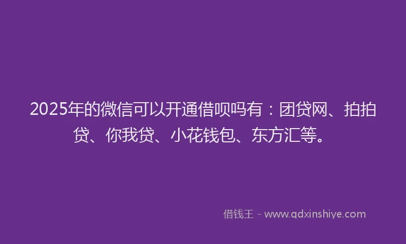 2025年的微信可以开通借呗吗有：团贷网、拍拍贷、你我贷、小花钱包、东方汇等。