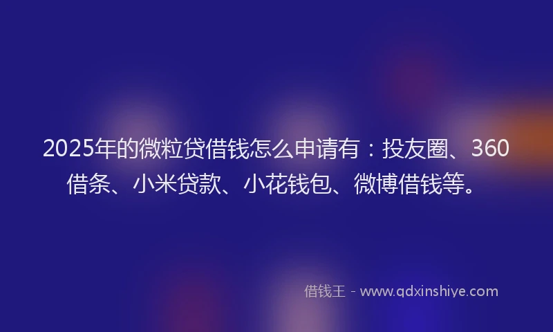 2025年的微粒贷借钱怎么申请有：投友圈、360借条、小米贷款、小花钱包、微博借钱等。