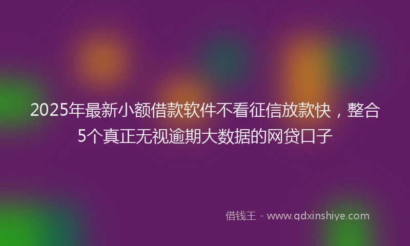 2025年最新小额借款软件不看征信放款快，整合5个真正无视逾期大数据的网贷口子