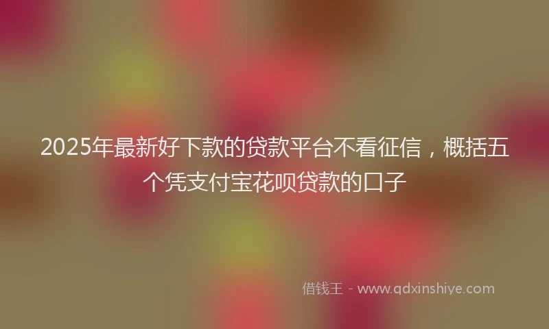 2025年最新好下款的贷款平台不看征信，概括五个凭支付宝花呗贷款的口子