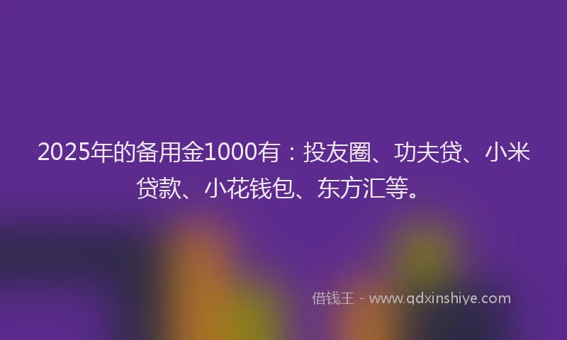 2025年的备用金1000有：投友圈、功夫贷、小米贷款、小花钱包、东方汇等。