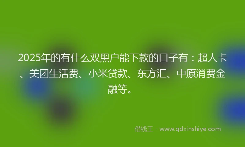 2025年的有什么双黑户能下款的口子有：超人卡、美团生活费、小米贷款、东方汇、中原消费金融等。