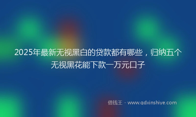 2025年最新无视黑白的贷款都有哪些，归纳五个无视黑花能下款一万元口子