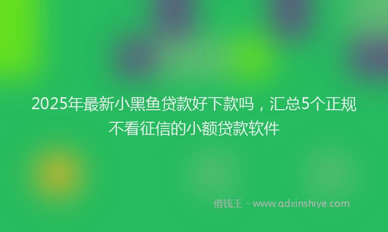 2025年最新小黑鱼贷款好下款吗，汇总5个正规不看征信的小额贷款软件
