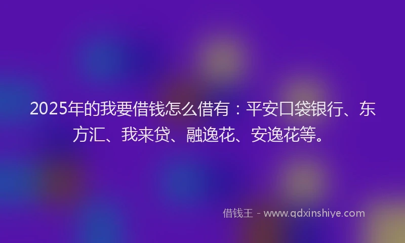 2025年的我要借钱怎么借有：平安口袋银行、东方汇、我来贷、融逸花、安逸花等。