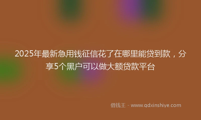 2025年最新急用钱征信花了在哪里能贷到款，分享5个黑户可以做大额贷款平台